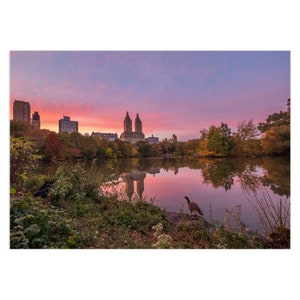 Könnte beinhalten: Eine einsame Gans steht am Rande eines Sees im Central Park in New York City, mit einem rosa und violetten Sonnenuntergang, der sich im Wasser spiegelt. Die Skyline der Stadt ist im Hintergrund zu sehen.
