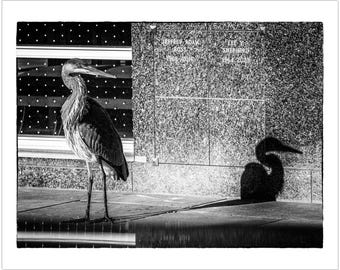 Black and White Heron Fine Art Print – Brooklyn Cemetery Wall Decor