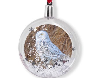 Bird Holiday Ornaments | Christmas Ornament |Birds| Snow Globe