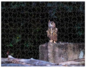 252, 520 or 1014-piece Flaco the Owl Table for One Jigsaw Puzzle | Central Park Puzzle | Birthday Gift | Gift | Games