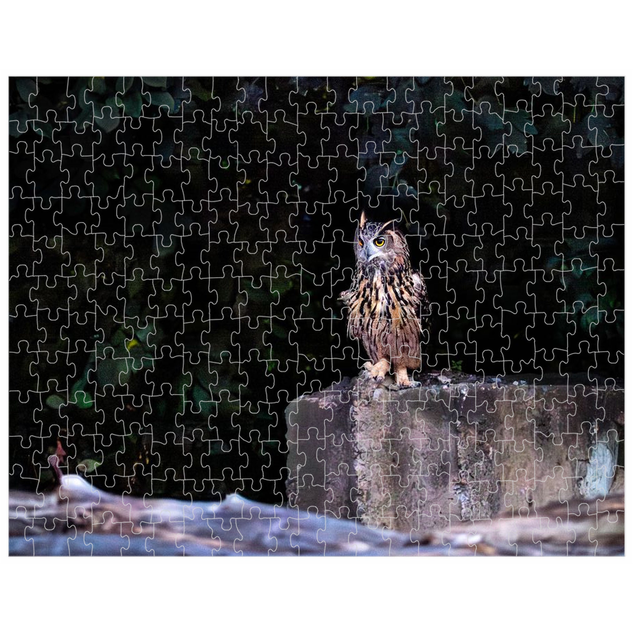 252, 520 or 1014-piece Flaco the Owl Table for One Jigsaw Puzzle | Central Park Puzzle | Birthday Gift | Gift | Games