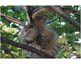 252, 520 or 1014-piece Flaco the Owl Jigsaw Puzzle | Central Park Puzzle | Birthday Gift | Gift | Games