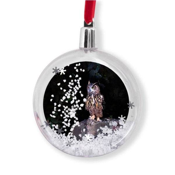 Flaco the Central Park Owl Holiday Ornaments | Christmas Ornament | Owl | Snow Globe | Metal | Acrylic