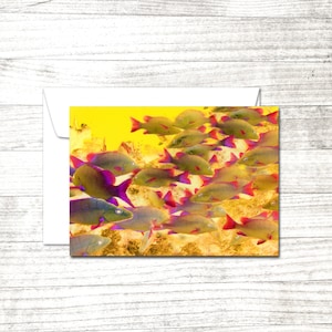 Banc de poissons carte de vœux | Carte de correspondance vierge | Carte d'art de plongée sous-marine | carte de voeux vierge | Carte pour plongeur | Art sous-marin
