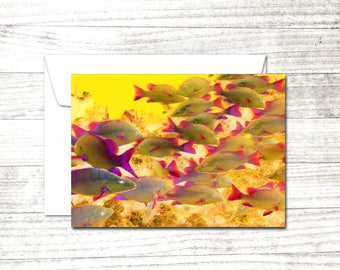 School of Fish Greeting Card | Blank Note Card |Underwater Dive Art Card | blank greeting card | Card for Scuba Diver | Underwater Art