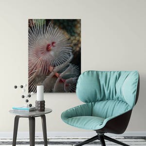 Underwater Wall Art | Scuba Diver Art Photo Canvas Wrap | Wall Art for scuba diver | Home Decor | Scuba Diver Gift | Marine Art