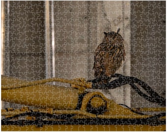Flaco the Owl Jigsaw Puzzle: Central Park Night Scene