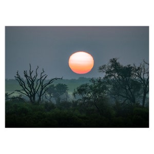 African Sunrise Note Card | Safari photograph | Greeting Card | Card for nature lover | Sunrise photography