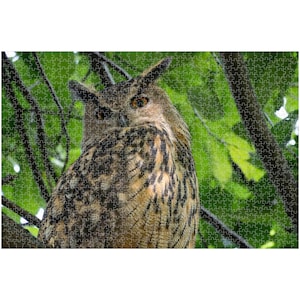 252, 520 or 1014-piece Flaco the Owl Jigsaw Puzzle | Central Park Puzzle | Birthday Gift | Gift | Games