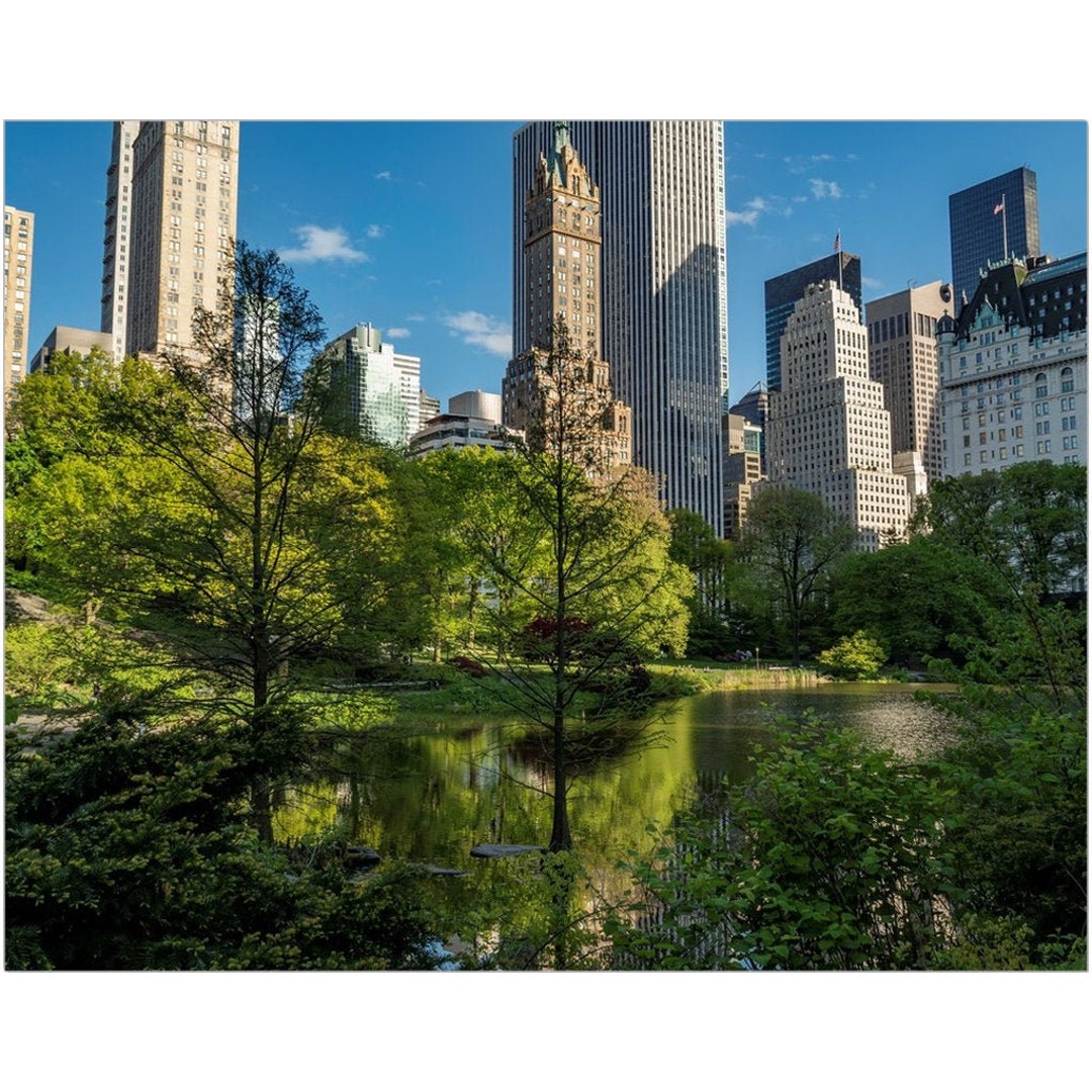 Reflections of New York City Art Print Photos in Isolation Central Park NYC  Giclee Art Prints 