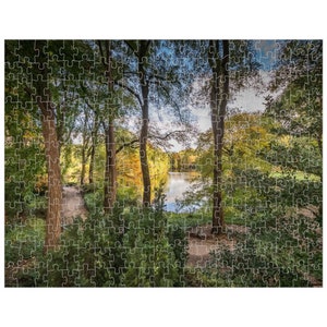 252, 520 or 1014 piece Jigsaw Puzzle | 4 Trees at the Central Park South Pond in Autumn | NYC Puzzle | Birthday Gift | Gift | Games
