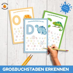 May include: Three educational cards with the German text "Kreise den Buchstaben D ein (10x)" and "Kreise den Buchstaben C ein (10x)". The cards feature illustrations of an orange slice, a dinosaur, and a chameleon. The text "GROSSBUCHSTABEN ERKENNEN" is at the bottom.