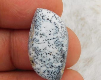 Natural Dendritic Agate Cabochon, Loose Gemstone (25x13x5 mm)