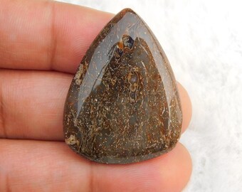 Puede incluir: Una piedra preciosa en forma de lágrima con una superficie pulida y brillante. La piedra presenta una mezcla de tonos marrones y beige con patrones y texturas intrincados. La piedra preciosa se sostiene en una mano.