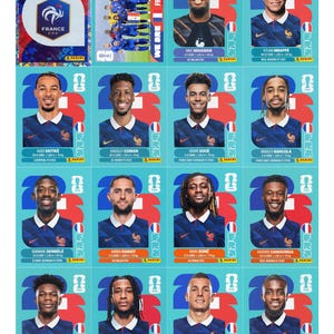 以下が含まれることがあります： フランス代表サッカーチームのパニーニFIFAワールドカップ2026トレーディングカードコレクション。チーム写真カードと個々の選手ポートレートが含まれており、各カードには選手名、生年月日、身長、体重、所属クラブが記載されています。