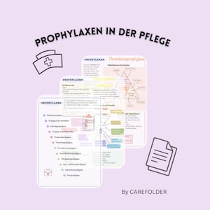 Prophylaxen-Set PDF - 12 wichtige Prophylaxen in der Pflege - Lernzettel für die Ausbildung - Digital Download