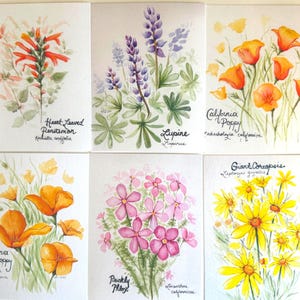 Native California Flowers, Note Card Set, Stationary Set, Original Watercolor Prints, Gift for Traveler,