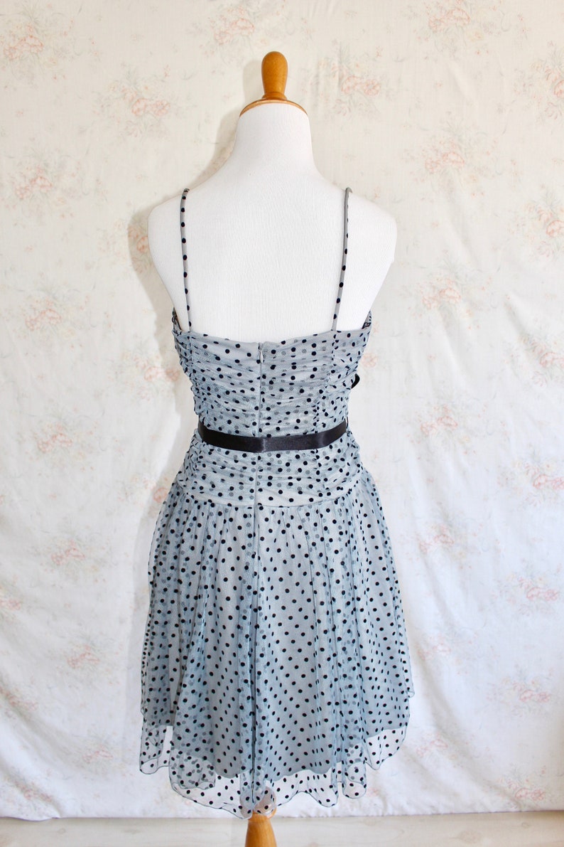 Vintage Y2K Prom Dress, Tulle Party Dress, Polka Dot, Sheer, Spaghetti Strap, Blue, A Line, 1950s, 50s image 9