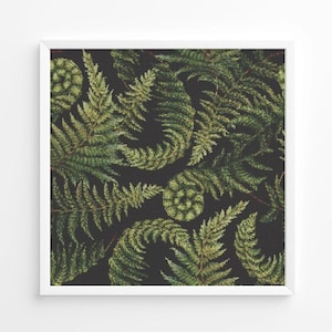 May include: A framed print featuring a repeating pattern of green fern fronds against a dark background. The ferns have detailed textures and varying shades of green, creating a natural, botanical theme. The print is encased in a white frame.
