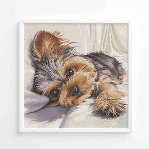 Peut inclure: Impression encadrée d'un chiot Yorkshire Terrier. Le chiot a des poils bruns et noirs, de grands yeux sombres et est allongé sur une surface blanche. L'impression est dans un cadre blanc.
