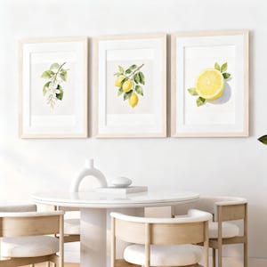 Puede incluir: Tres impresiones enmarcadas en acuarela con obras de arte con temática de limón. Las impresiones representan ramas de limón con frutos y flores, y un limón cortado. Los marcos son de madera clara, sobre un fondo blanco.
