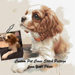 May include: A custom pet cross stitch pattern featuring a Cavalier King Charles Spaniel with brown and white fur and an orange collar. The design includes a smaller reference photograph of the dog with an arrow pointing to the main illustration.