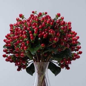 May include: A vibrant bouquet of red berries with green leaves, displayed in a clear glass vase. The berries are clustered densely, creating a full, eye-catching arrangement. The stems are visible through the vase, adding a natural touch to the floral display.