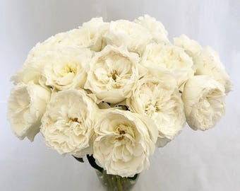May include: A lush bouquet of ivory roses in a clear glass vase. The roses have multiple layers of delicate petals, with a creamy white hue and a hint of yellow at the center. The arrangement is full and dense, creating a romantic and elegant display.
