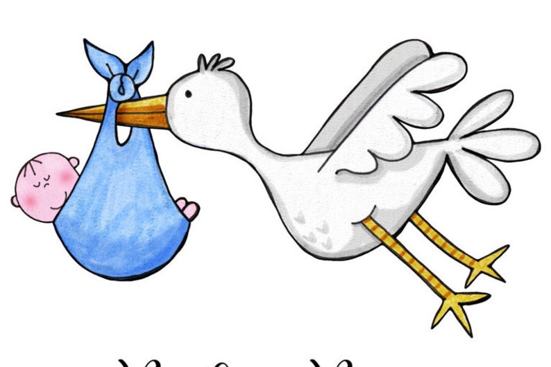 Baby Boy Card