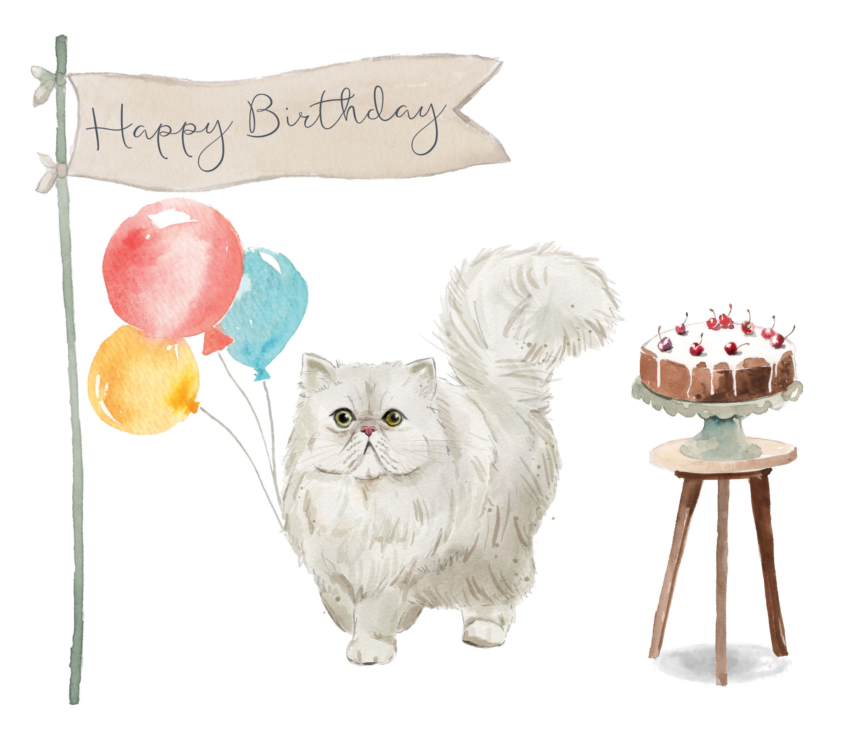 Persian Cat Birthday Card Pack of Ten - Etsy UK