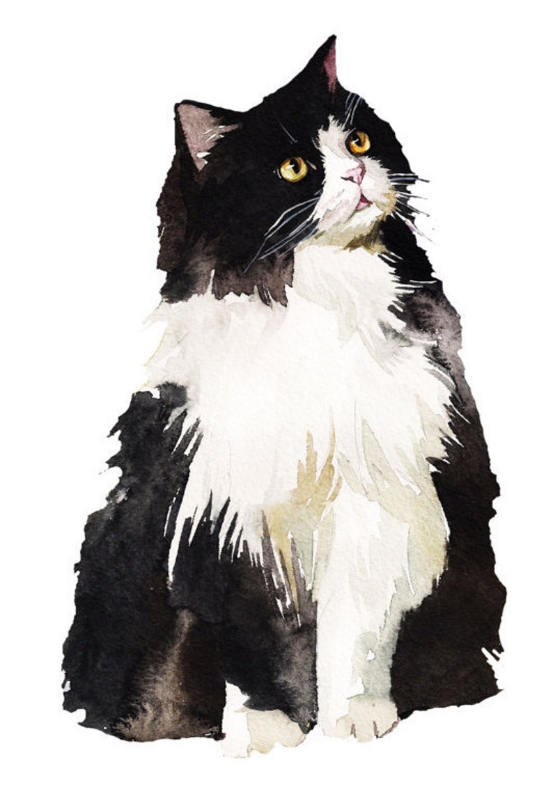 Black and White Cat Birthday Card - Etsy Denmark