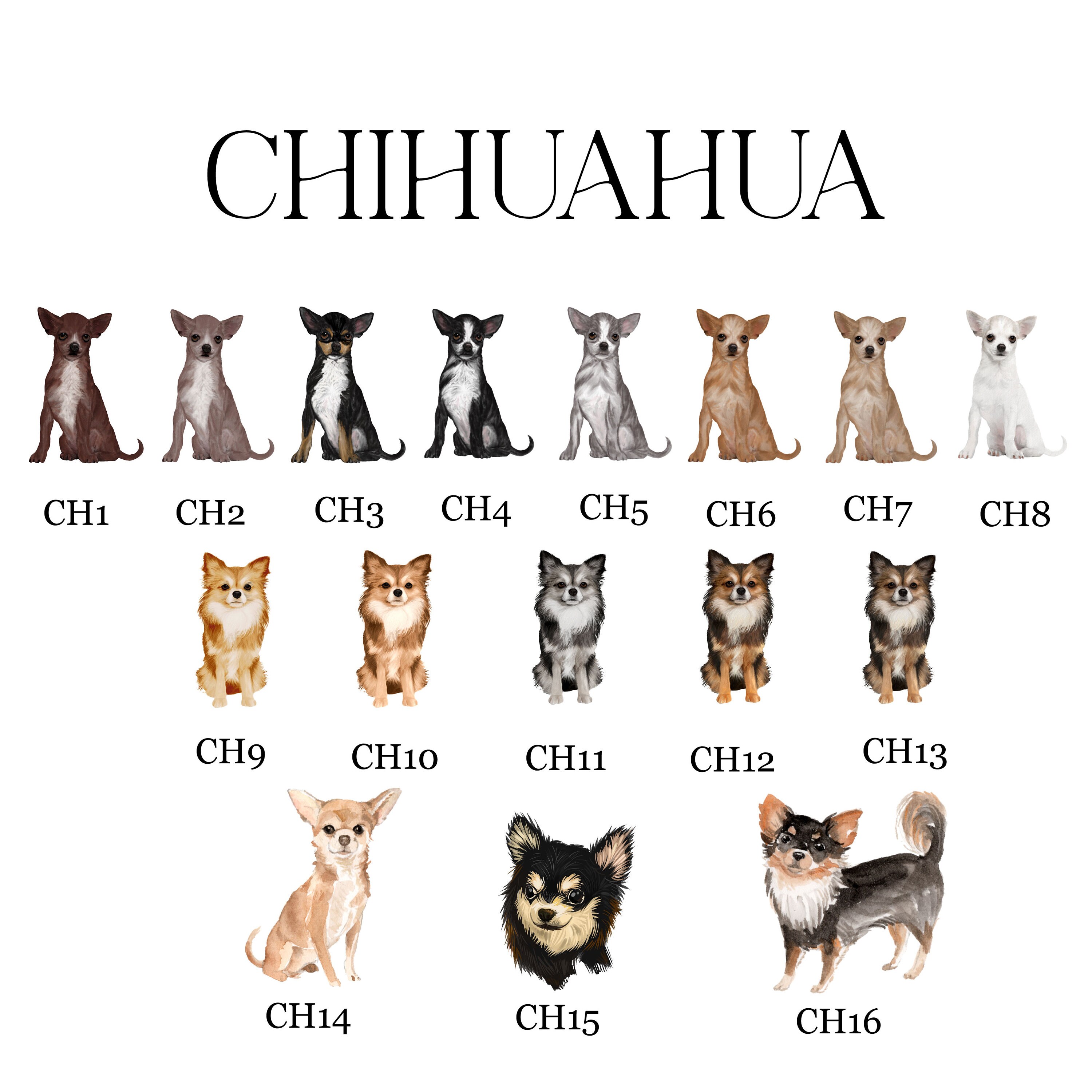 Chihuahua Birthday Card Chihuahua Card Chihuahua | Etsy