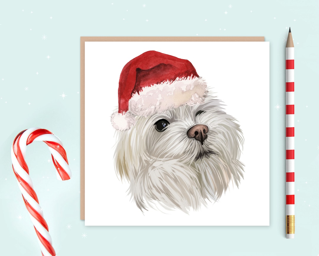 Maltese Christmas Card Christmas Gift for Dog Lovers Etsy