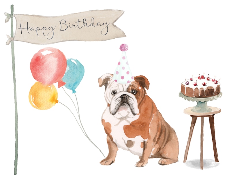 English Bulldog Birthday Card Pack of Ten - Etsy