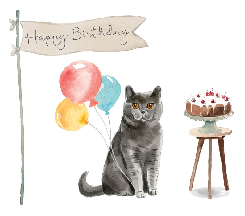 British Shorthair Cat Birthday Card - Etsy