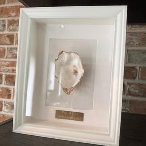 May include: A framed oyster shell with gold edging and a small pearl. The shell is set against a white background within a white wooden frame. A small gold plaque at the bottom reads "Pap. ik blijf altijd jouw parel."