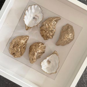 May include: A framed artwork featuring six oyster shells. The shells are gold-coloured on the exterior and white on the interior. The artwork is displayed in a white frame, creating a coastal or nautical theme.