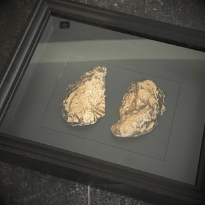 May include: A framed artwork displaying two gold-coloured, textured objects, possibly casts of natural forms. They are set against a dark grey background within a black frame, creating a contrast. The frame has a simple, modern design.