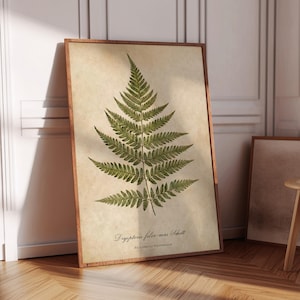 Może przedstawiać: Oprawiony botaniczny nadruk przedstawiający szczegółową ilustrację zielonego liścia paproci. Grafika jest umieszczona na kremowym tle i zamknięta w drewnianej ramie. Nadruk zawiera nazwę naukową paproci.
