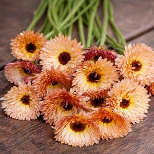 May include: A collection of orange and yellow flowers with dark brown centers, arranged on a rustic wooden surface. The flowers have multiple layers of petals, creating a textured appearance. Green stems extend from the flowers.