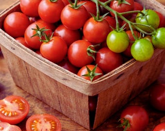 Tomato Supersweet 100 Seeds, Extra Sweet Cherry Tomato, Organic High Yield Indeterminate Vine