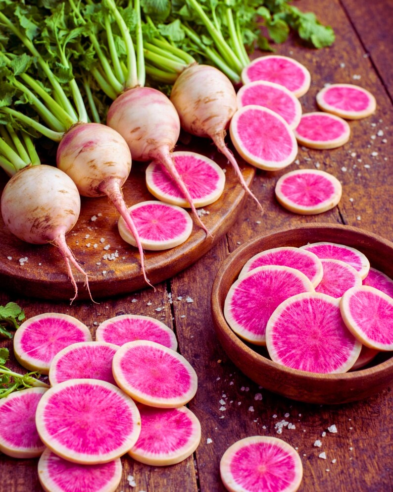 LittleBearNC Radish Watermelon Seeds - Thumbnail 3