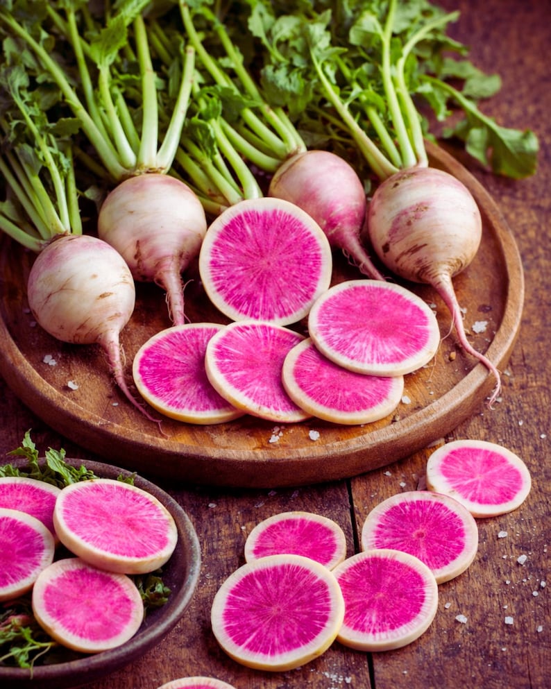 LittleBearNC Radish Watermelon Seeds - Thumbnail 2