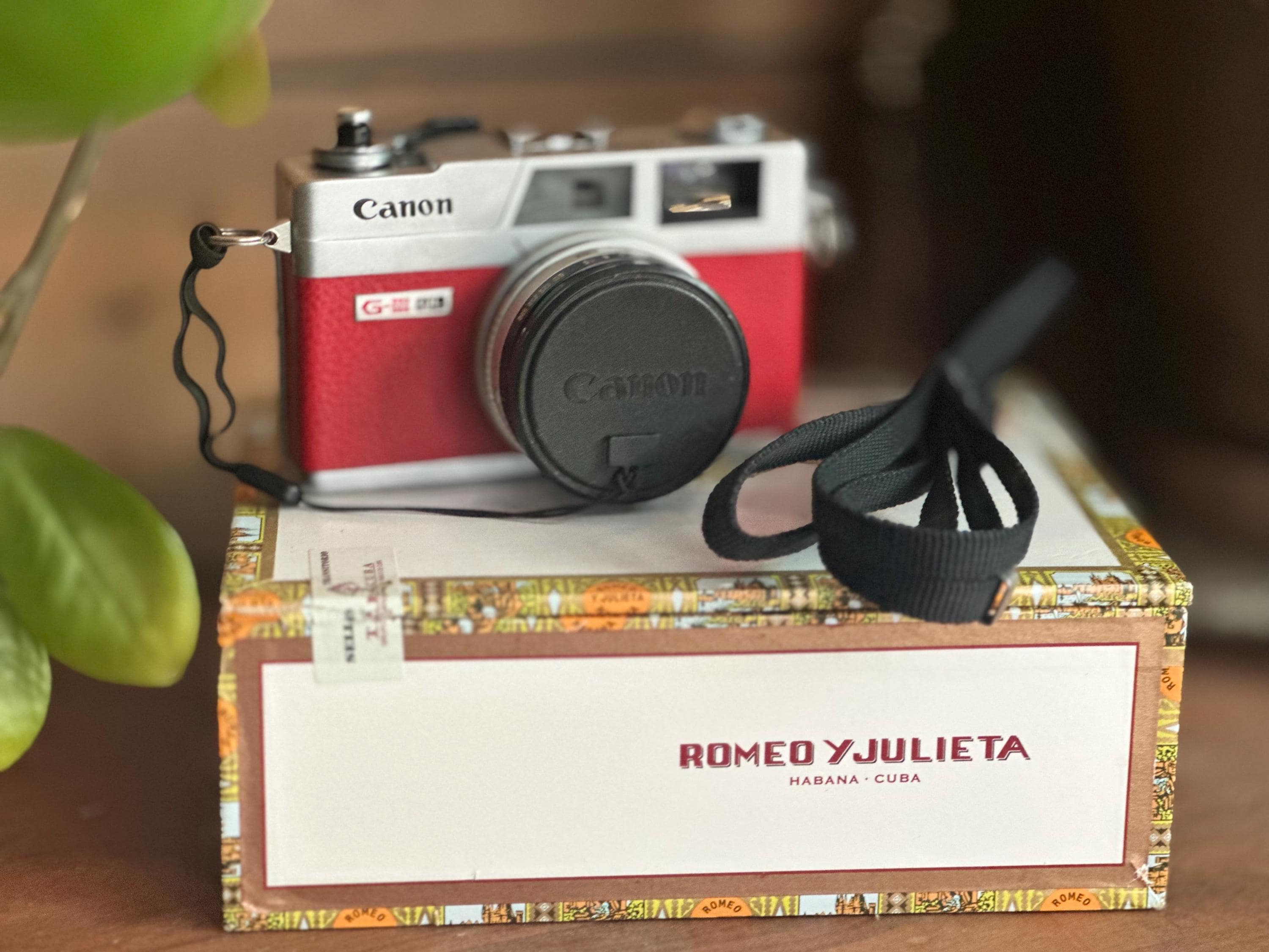⭐️美品⭐️モルト交換済⭐️キャノン Canon Canonet QL17 Giii ⭐️美品⭐️モルト交換済⭐️キャノン Canon Canonet QL17 Giii