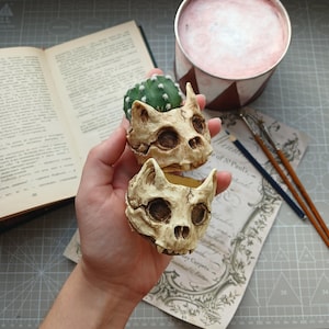 Puede incluir: Dos macetas beige con forma de calavera de gato, una con un pequeño cactus verde. Las macetas se sostienen en una mano, con un libro abierto, un recipiente y material de arte en el fondo. Las macetas tienen rasgos faciales detallados.