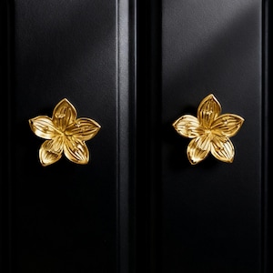May include: Close-up of two black cabinet doors with gold-colored flower-shaped knobs. The knobs are centered on the doors, which have a recessed panel design. The gold knobs provide a striking contrast against the dark background.