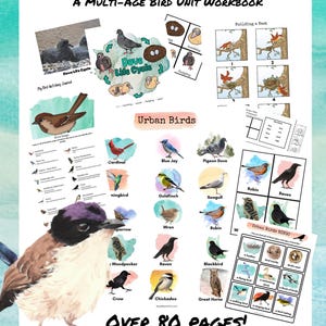 May include: A multi-age bird unit workbook with illustrations of various bird species, including a cardinal, blue jay, and robin. The workbook also features a bird bingo game and text that reads "Over 80 pages!"