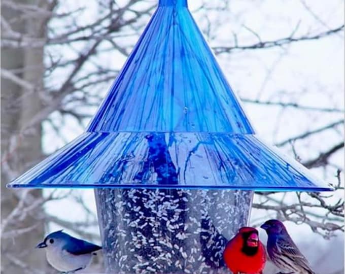 Blue Mandarin Sky Cafe Bird Feeder Squirrel Resistant Large Songbird Feeder Cardinal Feeder