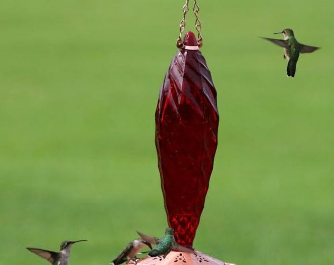 Bird Feeder Crystal Spiral Glass Hummingbird Feeder  Holds 20oz.