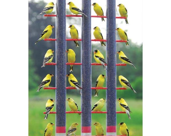 Triple Tube Finch Feeder – 36 Feeding Ports | Large Capacity Nyjer Seed Bird Feeder